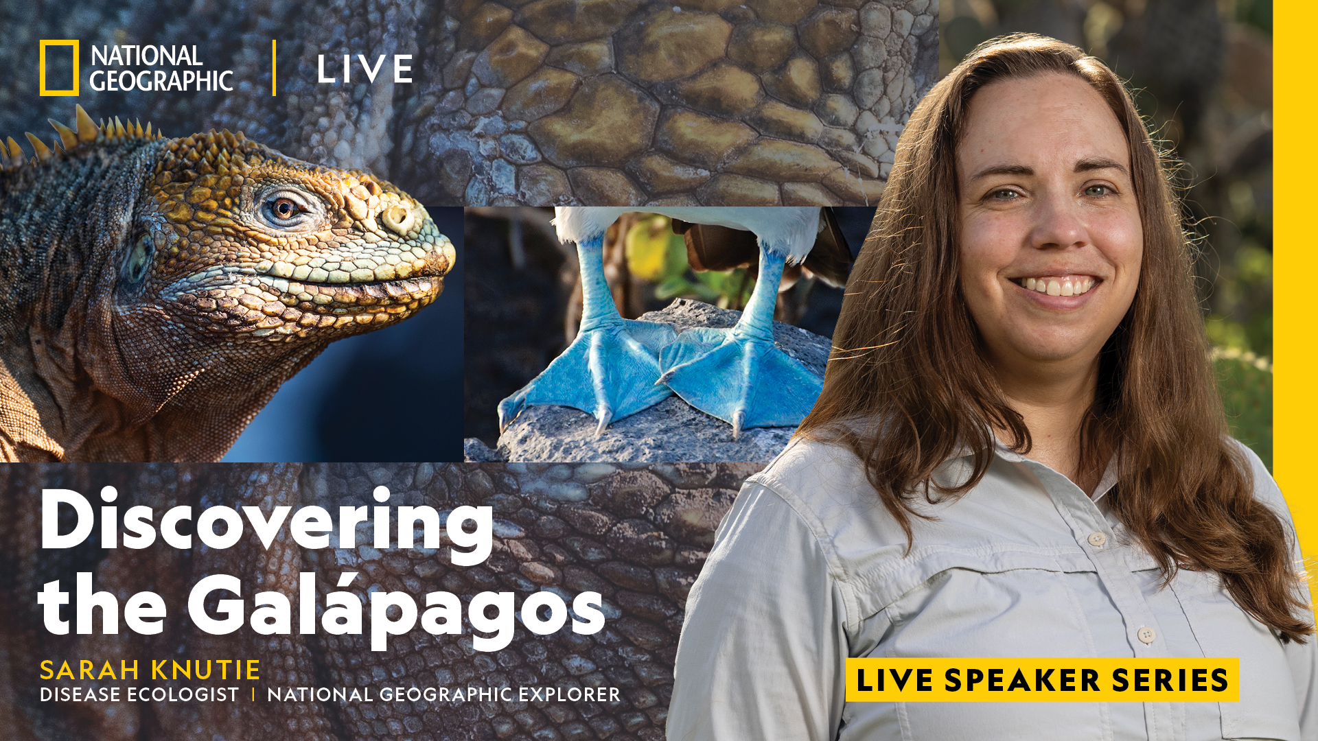 Nat Geo Live: Discovering the Galápagos | BroadStage