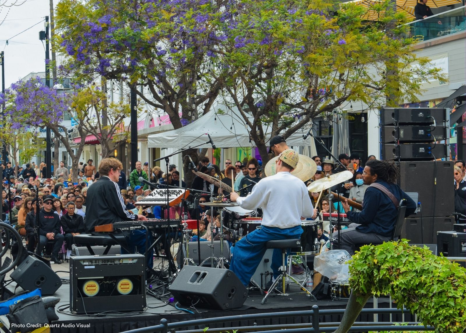 A trio performs on an outdoor stage on a pedestrian promenade lined with blooming jacaranda trees, with a large crowd gathered around them.