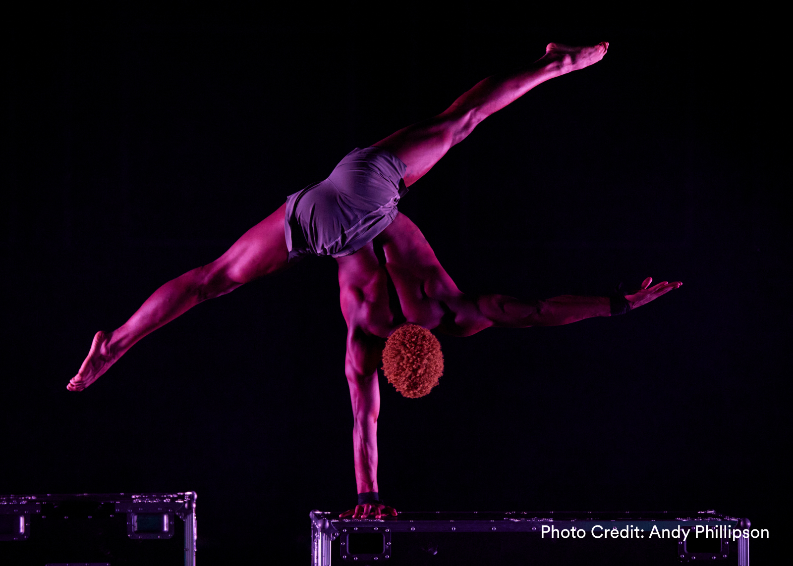A solo acrobat holds a one-armed handstand on a road case, legs split wide, bathed in purple light against a black background. (Photo Credit: Andy Phillipson)
