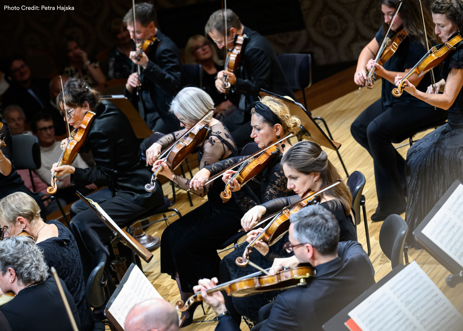 An overhead view of string players performing in concert, bows in motion, all dressed in black. Photo: Petra Hajska.