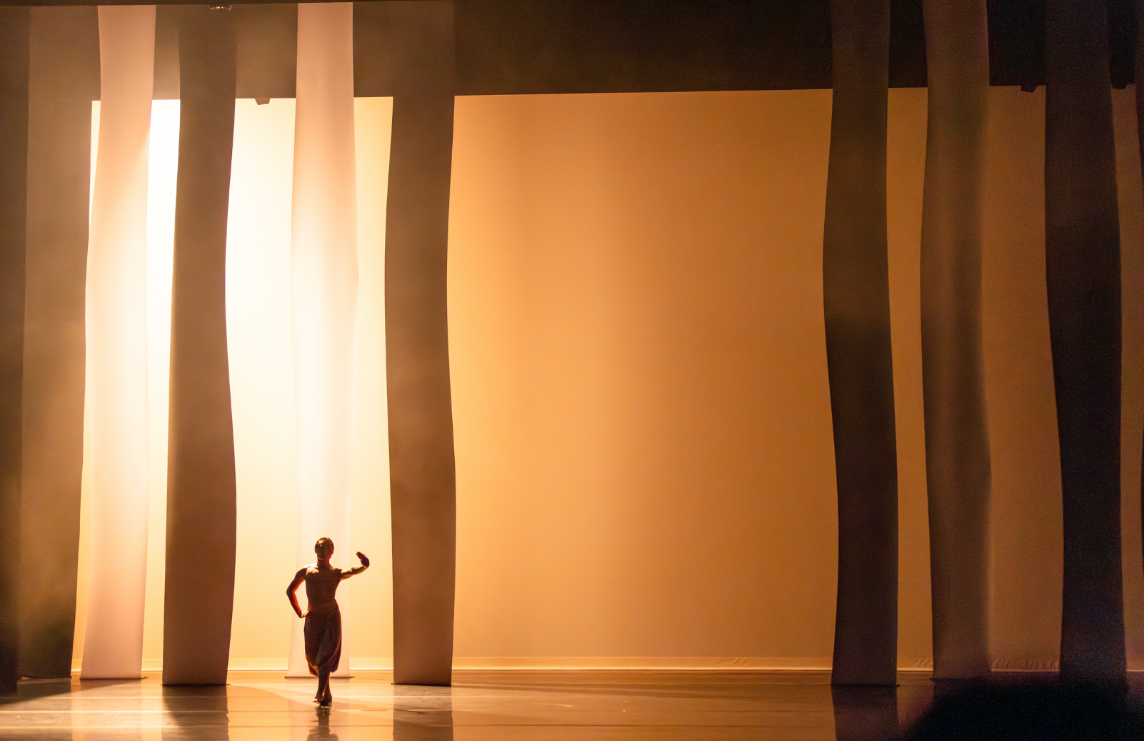 A lone dancer stands silhouetted on stage amid towering columns.
