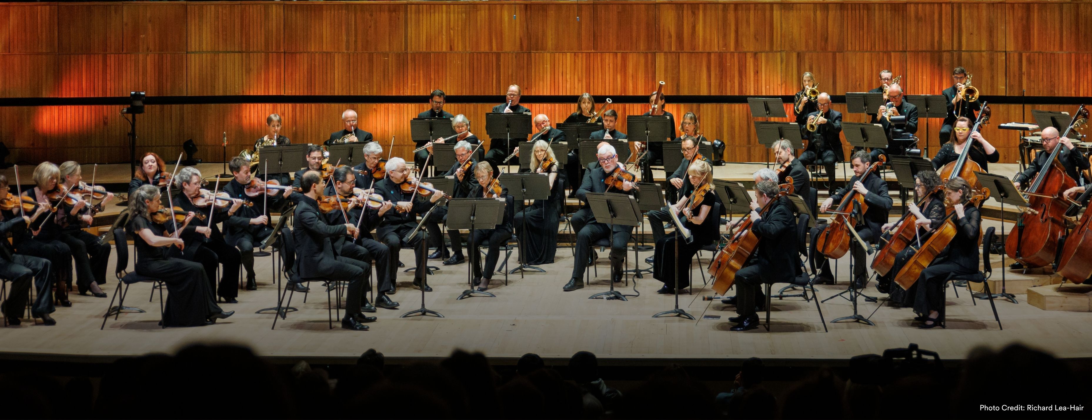 A full orchestra performs on stage in formal black attire, with string players in the foreground and brass and woodwinds behind, set against warm wood-paneled walls. Photo: Richard Lea-Hair.